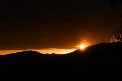 DSC_4545 (Large).JPG